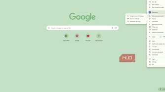 Navigating to the Chrome password manager