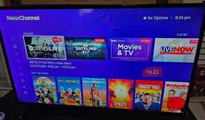 Opening the Roku Channel app to watch free movies and TV shows.