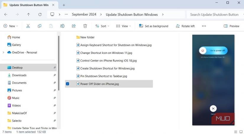 Preview Pane in Windows 11 File Explorer