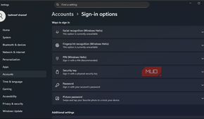 sign in option in the Windows 11 settings app