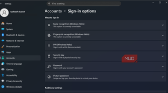 sign in option in the Windows 11 settings app
