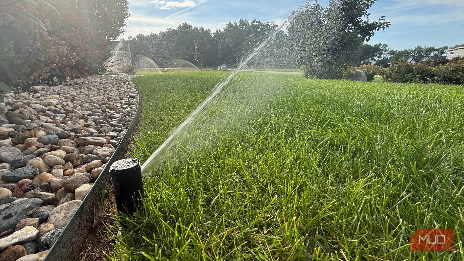 Save Water & Money: Smart Watering Tips & Tricks Save Water & Money: Smart Watering Tips & Tricks