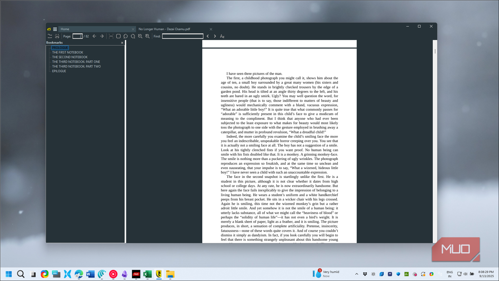 Sumatra PDF bookmarks visible