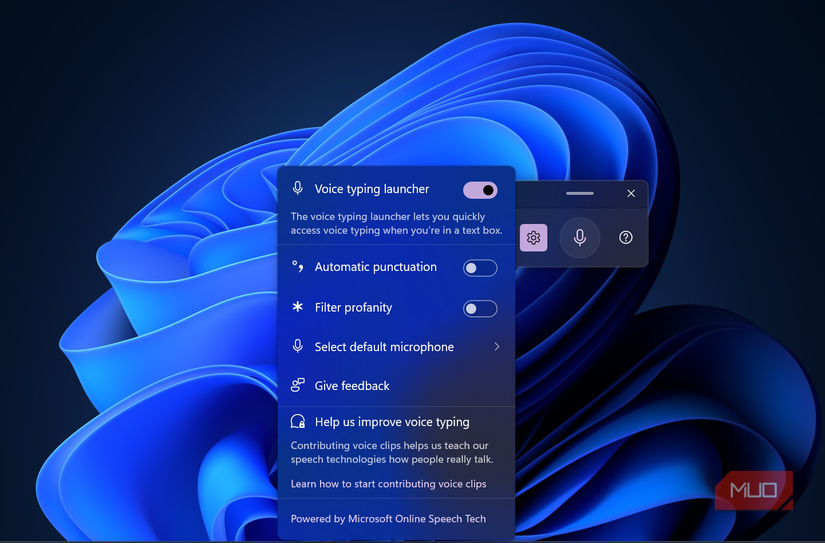 The Settings page of the Windows Voice Typing Tool on my Windows PC.