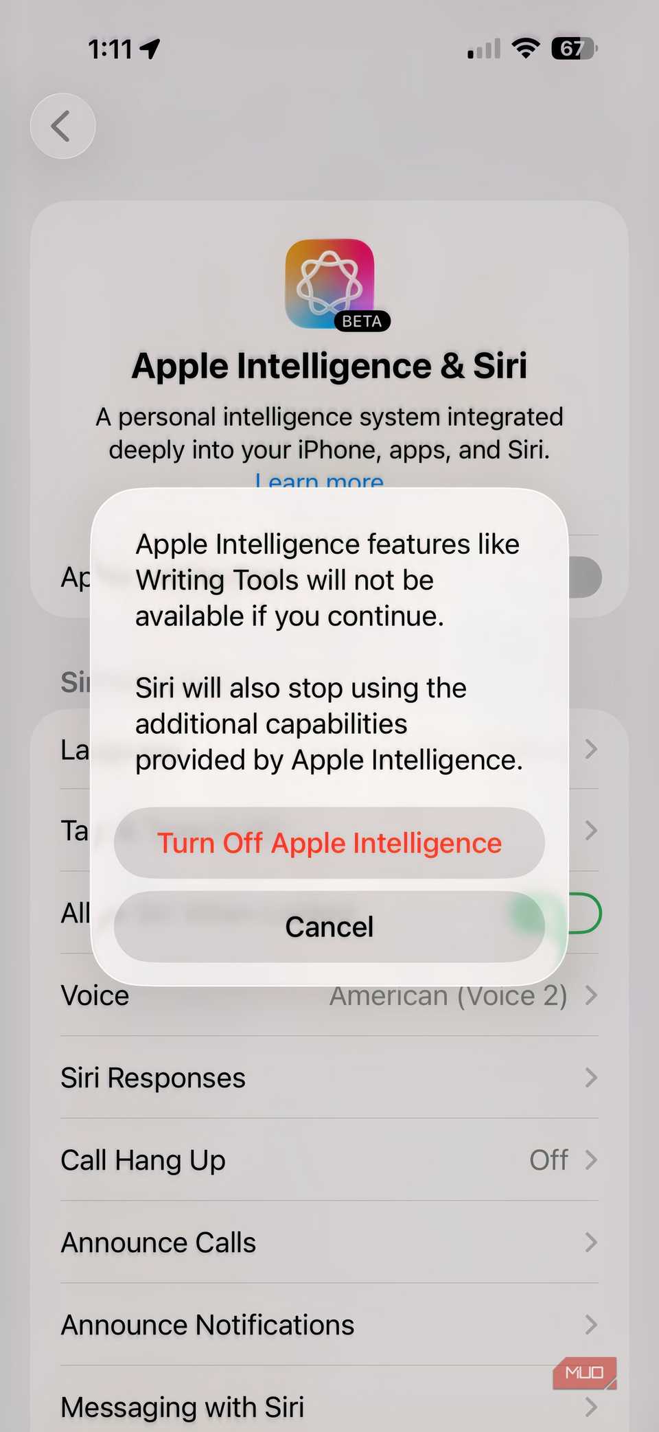 Screenshot showing off Apple Intelligence on iPhone