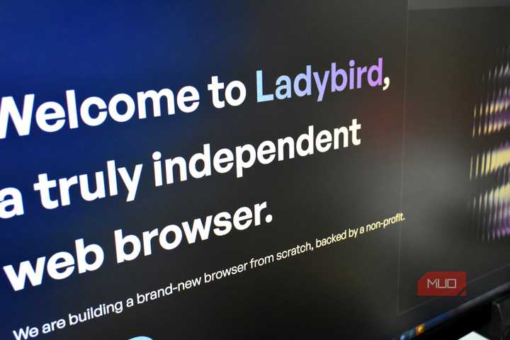 welcome to ladybird home page splash screen.