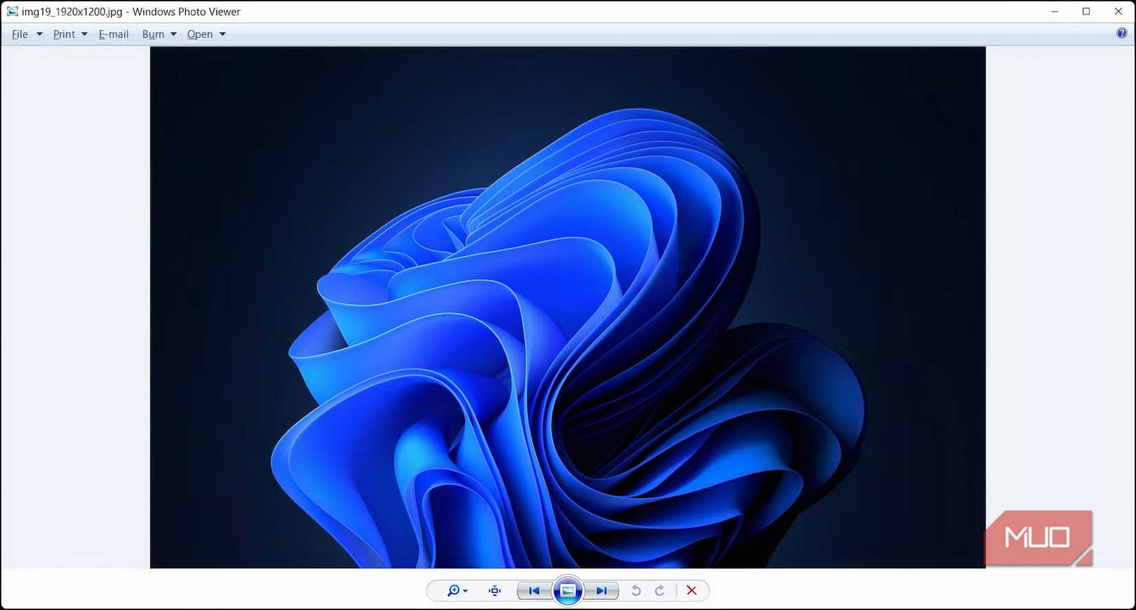 Windows photo viewer app showing a windows 11 dekstop background image.