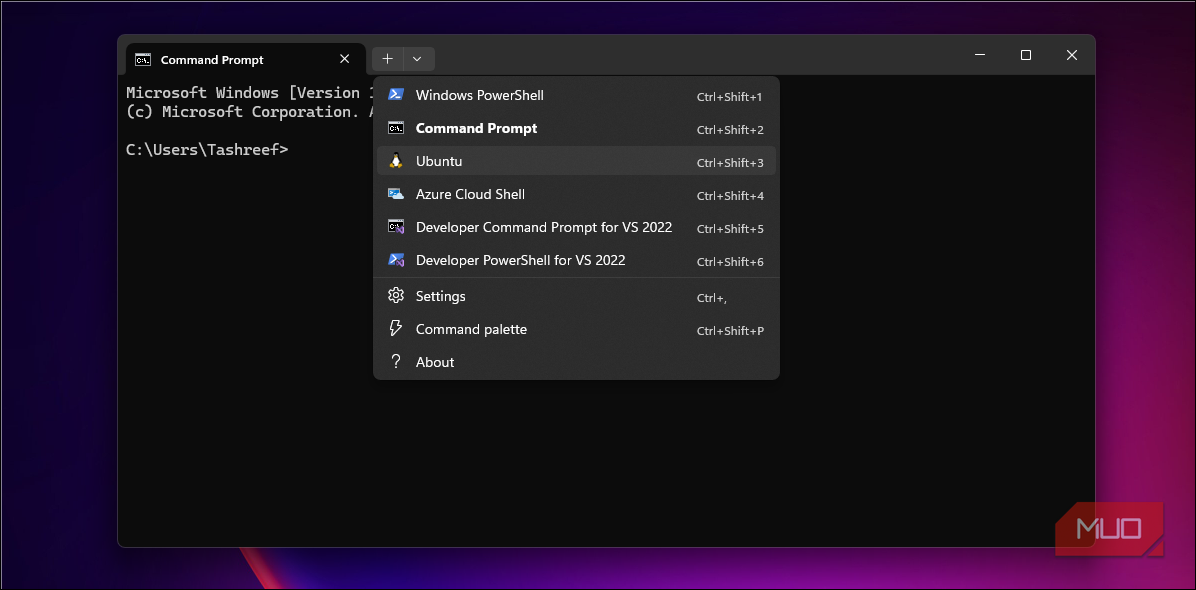 These classic Windows programs are somehow still thriving in 2025