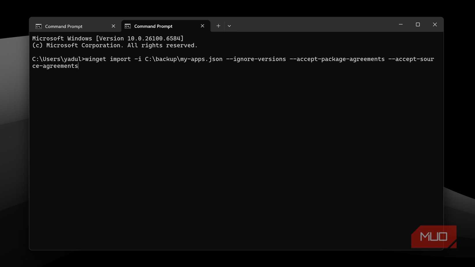 Winget import command on Command Prompt. 