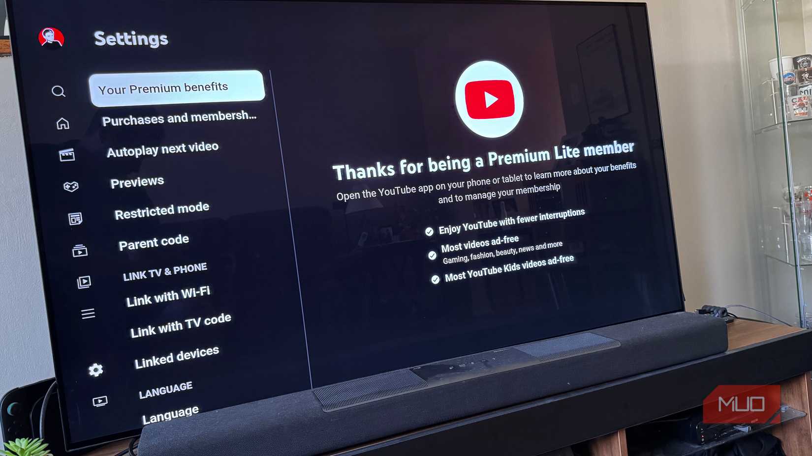 YouTube Premium Lite account page on smart TV