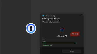 1Password Windows Hello Prompt