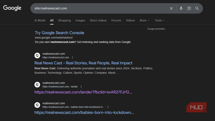 03 Scam Site Google Site Search