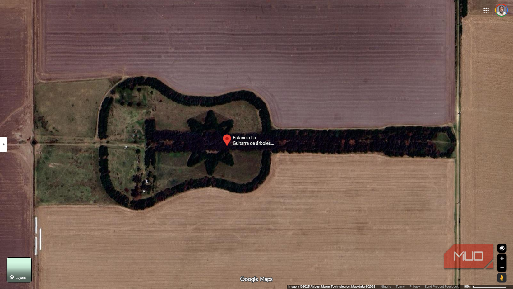 A massive guitar-shaped forest seen on Google Maps.