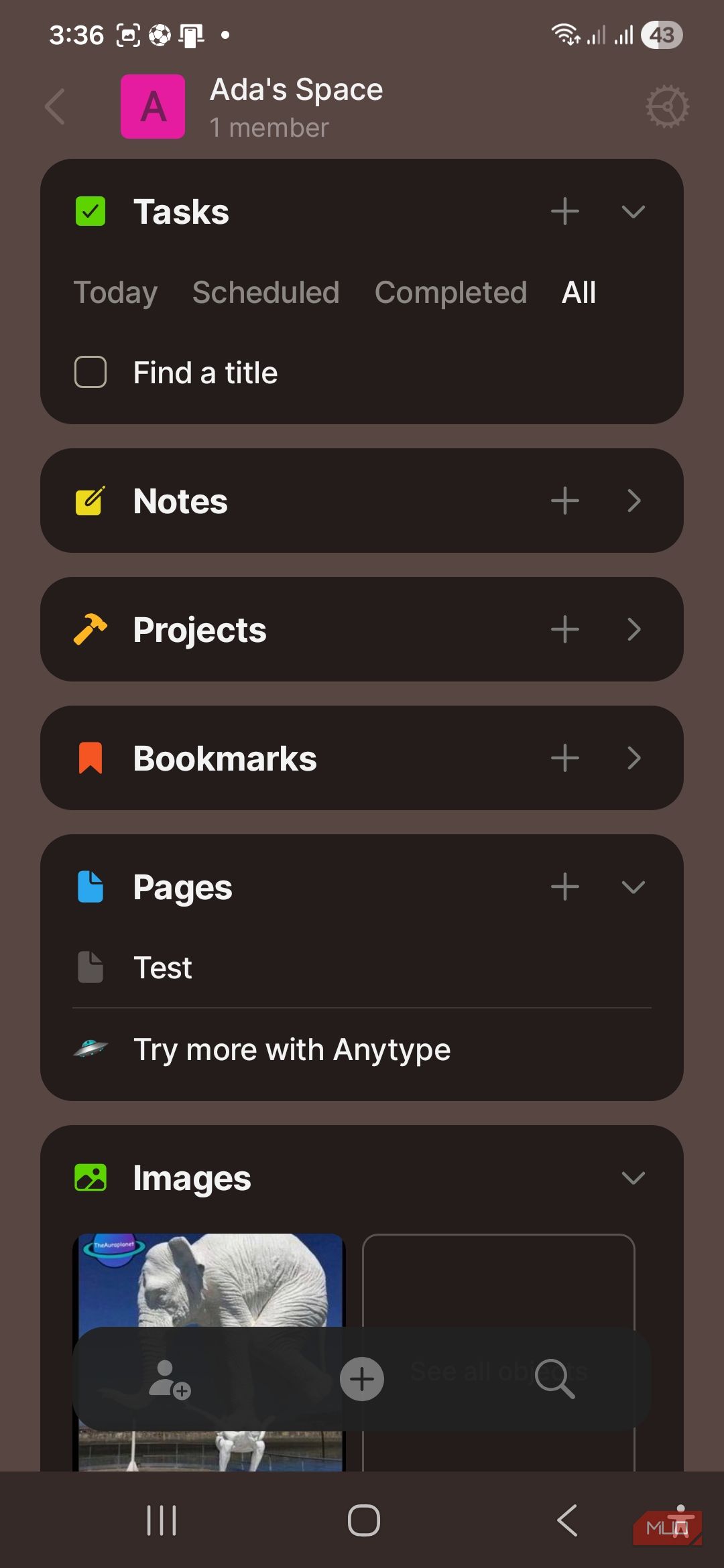 Ada's Space in Anytype with new objects under Tasks, Images, and Pages.