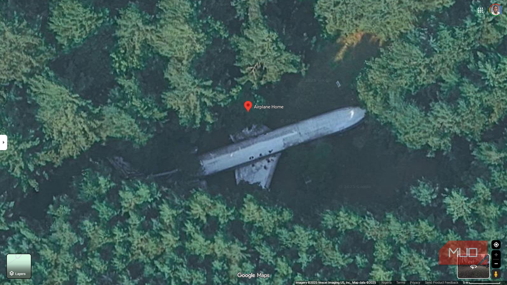 An aircraft hidden among trees as seen on Google Maps.