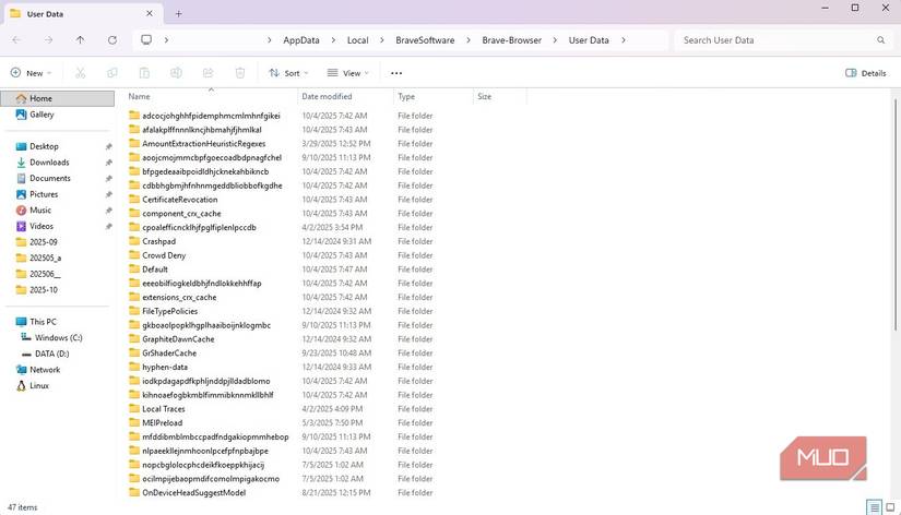 Brave user profile folder on Windows