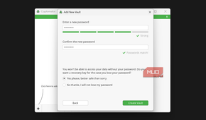 Cryptomator enter new password option in add new vault dialog box.