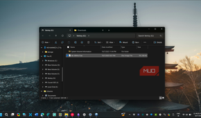 Damn Small Linux ISO in Ventoy disk folder