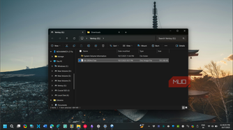Damn Small Linux ISO in Ventoy disk folder