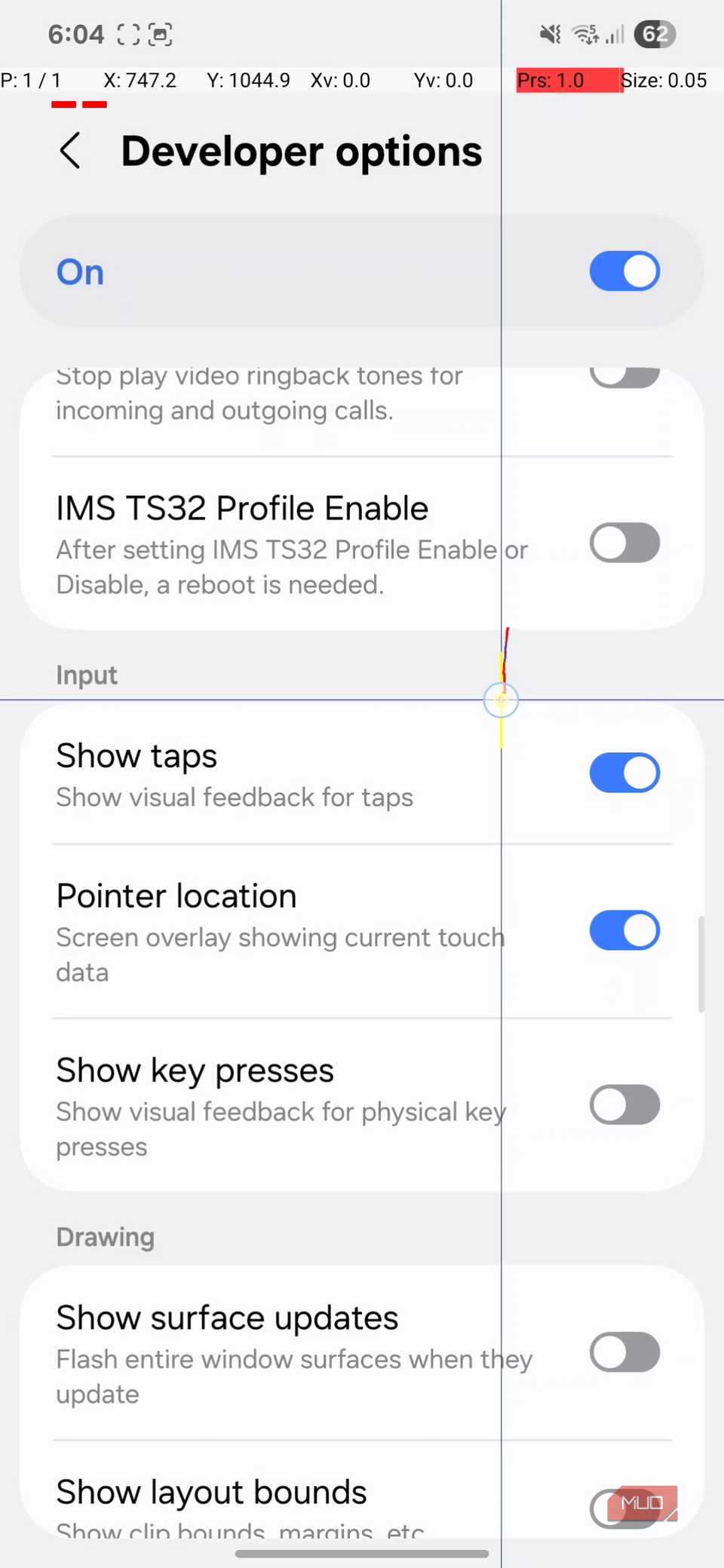 Developer options menu showing pointer location