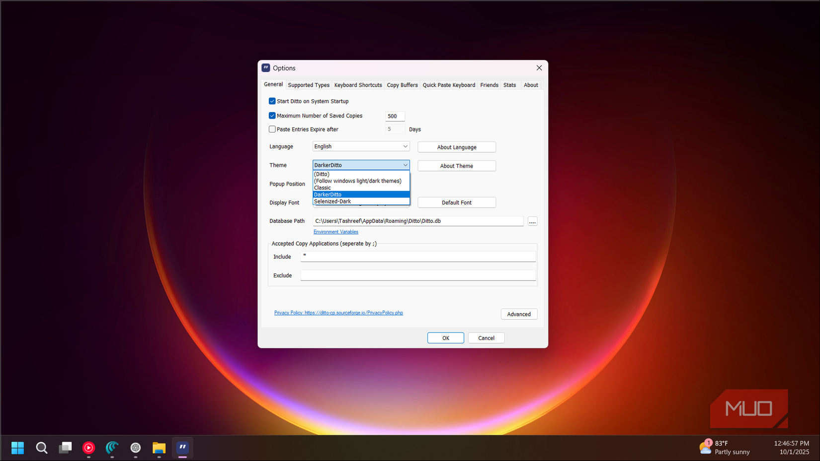 Ditto options dialog with the theme option selected