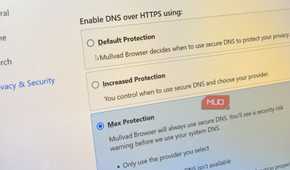dns encryption options in mullvad browser close up computer screen.