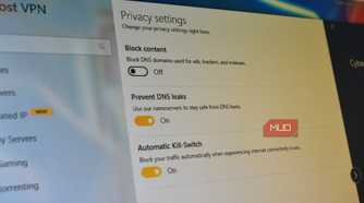 dns leaks and kill switch option in vpn.