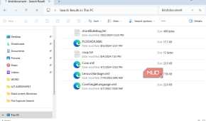 File Explorer search by file type