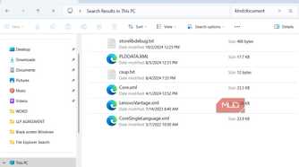 File Explorer search by file type
