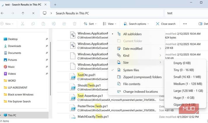 File Explorer search options menu on Windows