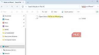 File Explorer search showing exact match on Windows