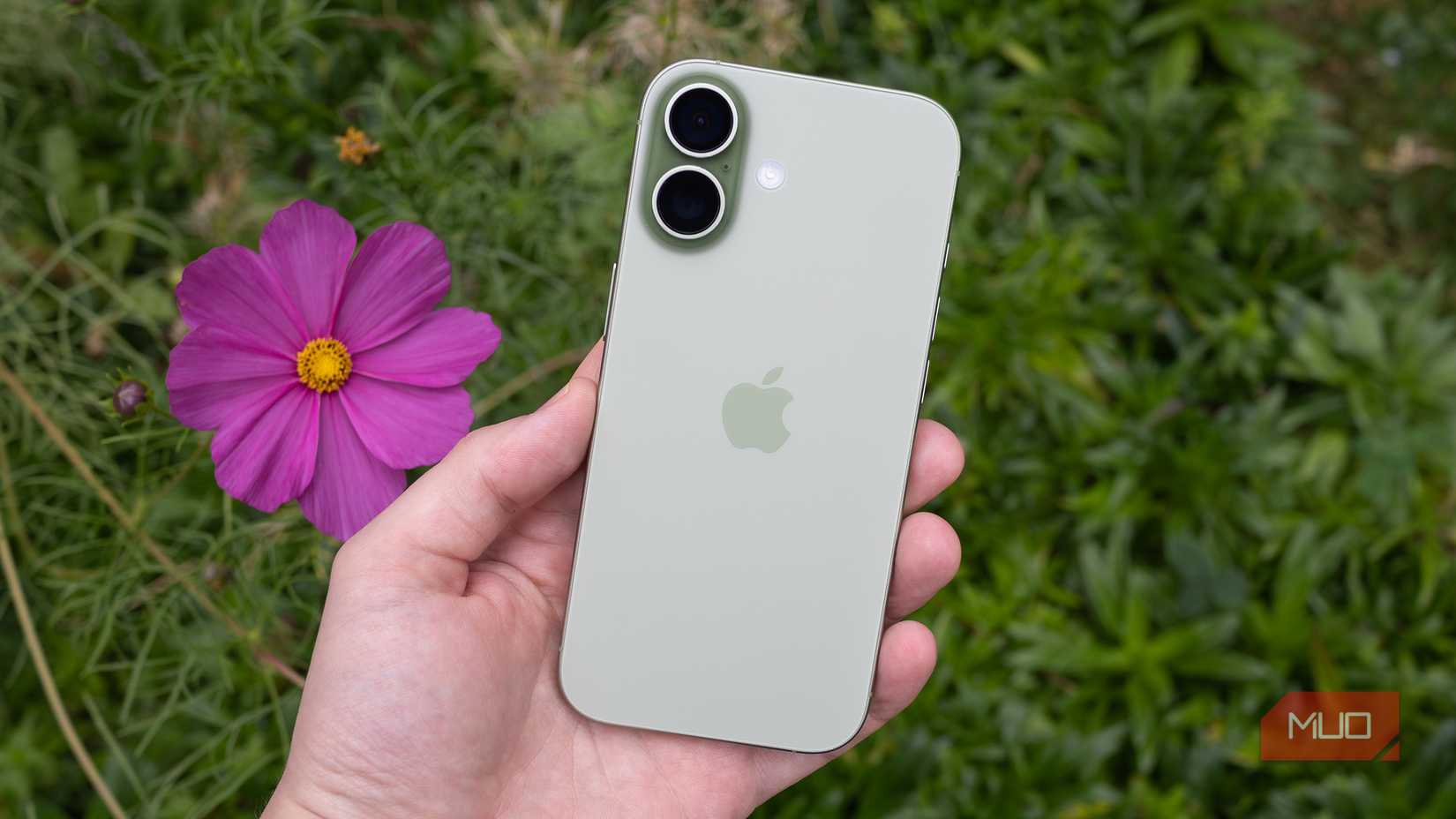 iPhone 17 in sage color, in hand, next to purple flower