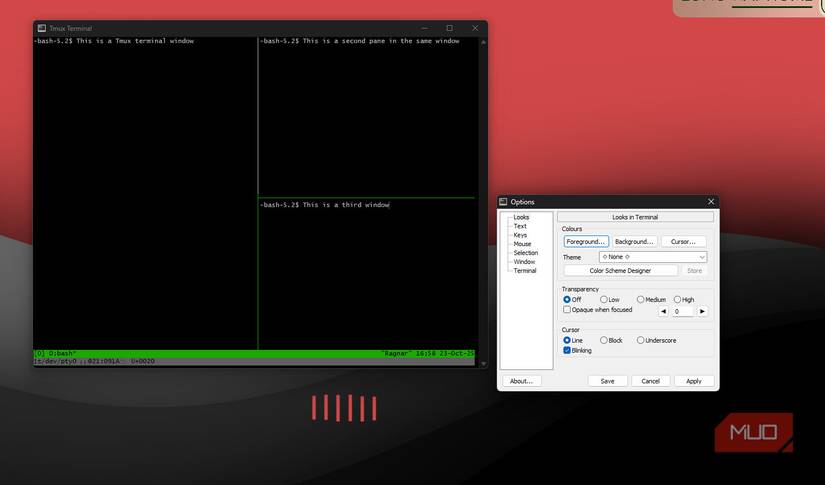 itmux options window with terminal.