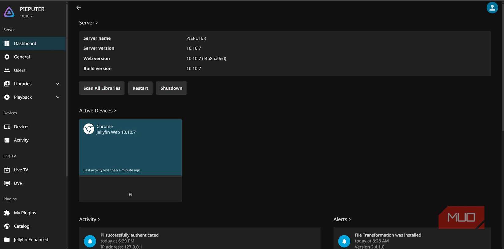 Jellyfin admin panel in the web client