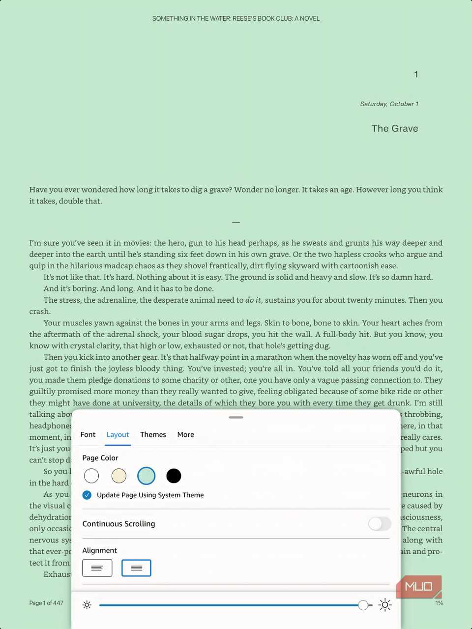 A screenshot showing customization options in the Kindle for iPad app.