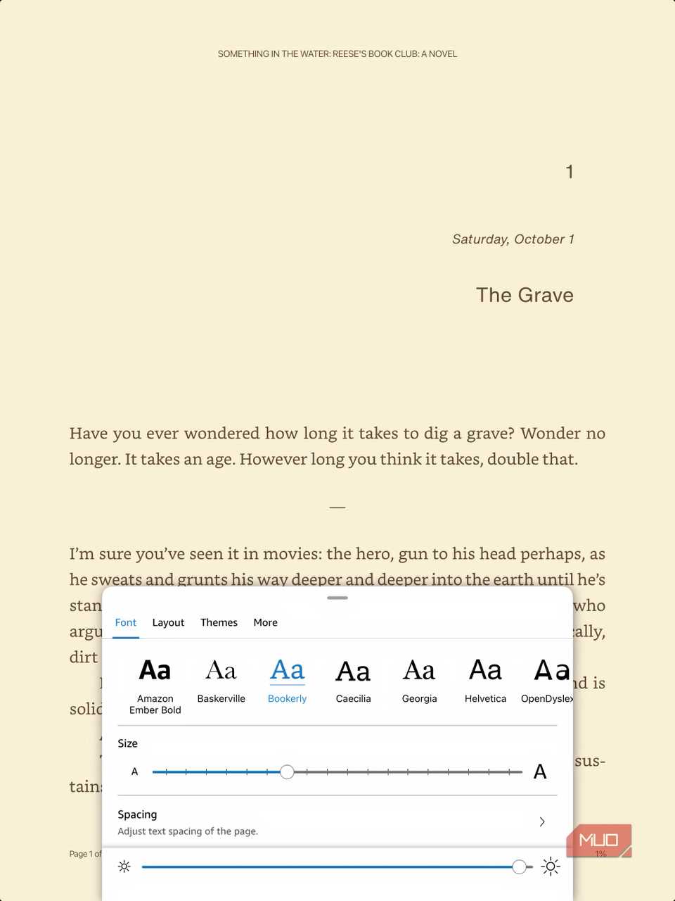 kA screenshot showing customization options in the Kindle for iPad app.