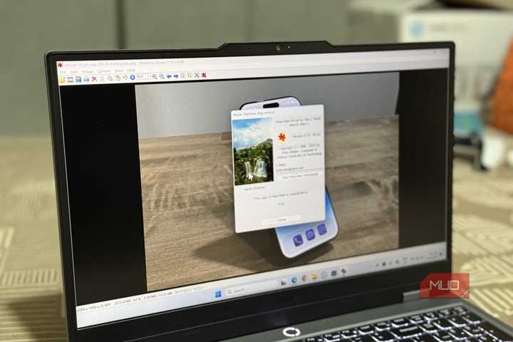 Laptop showing IrfanView image viewer