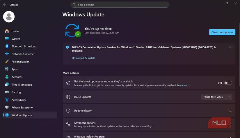 Native Windows Update on Windows 11