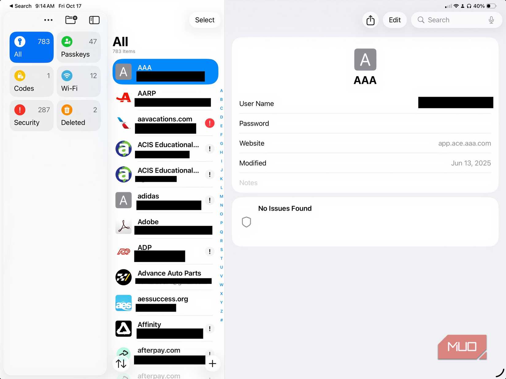A screenshot of the Passwords app on iPad.