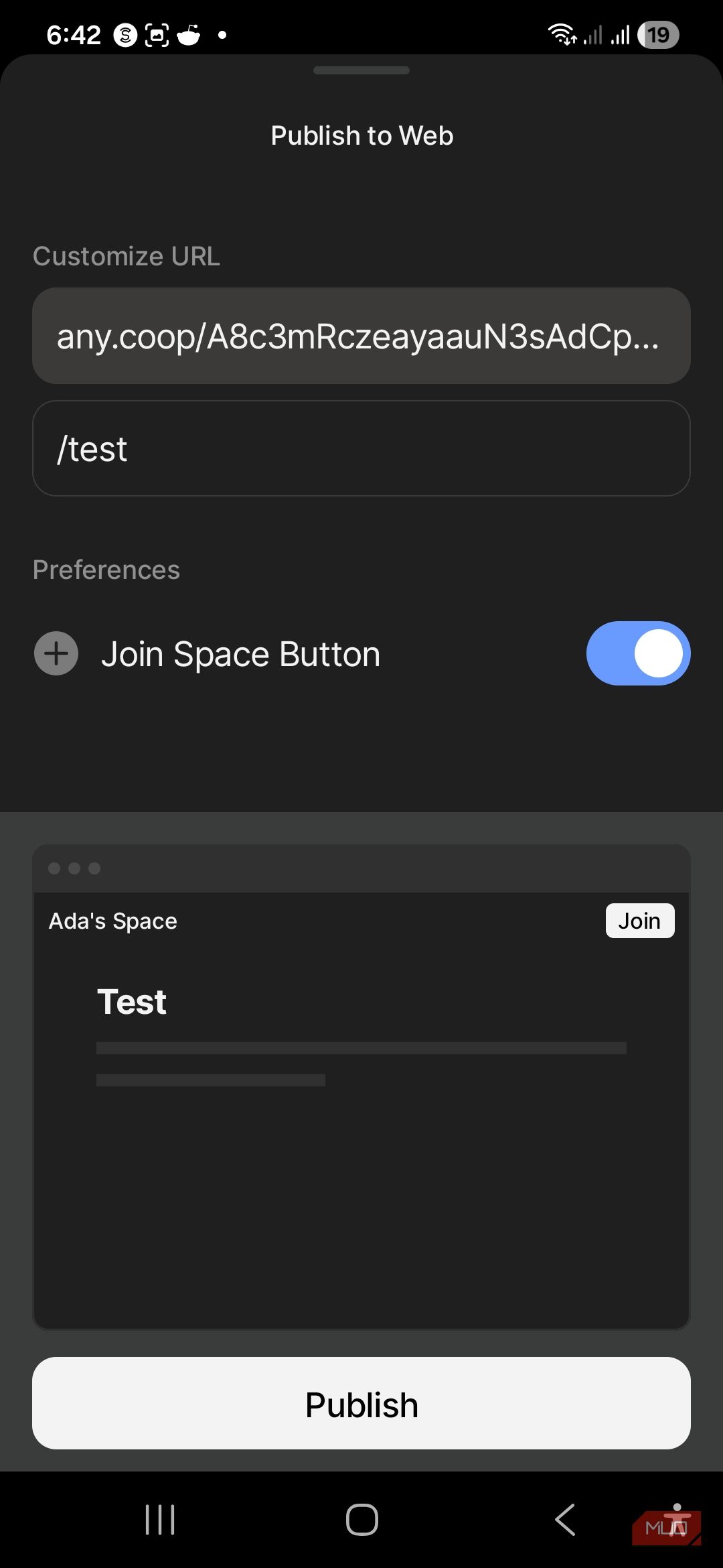 Publish to web options in Anytype.