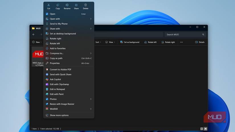 Right-clicking an image in Windows