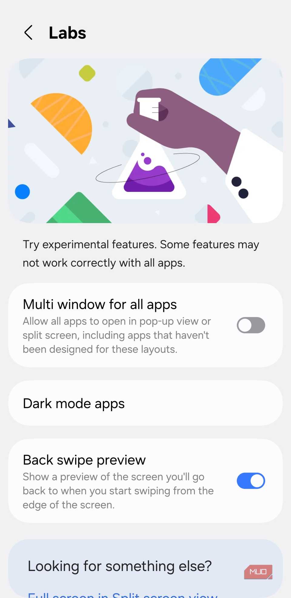 Samsung phone labs menu