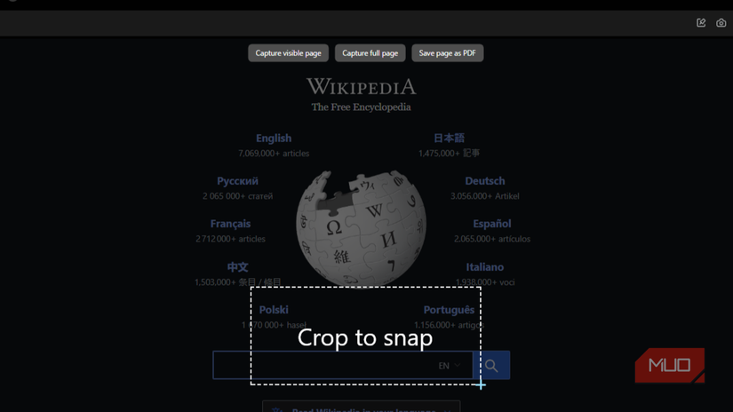Built-in screenshot tool in Opera browser.