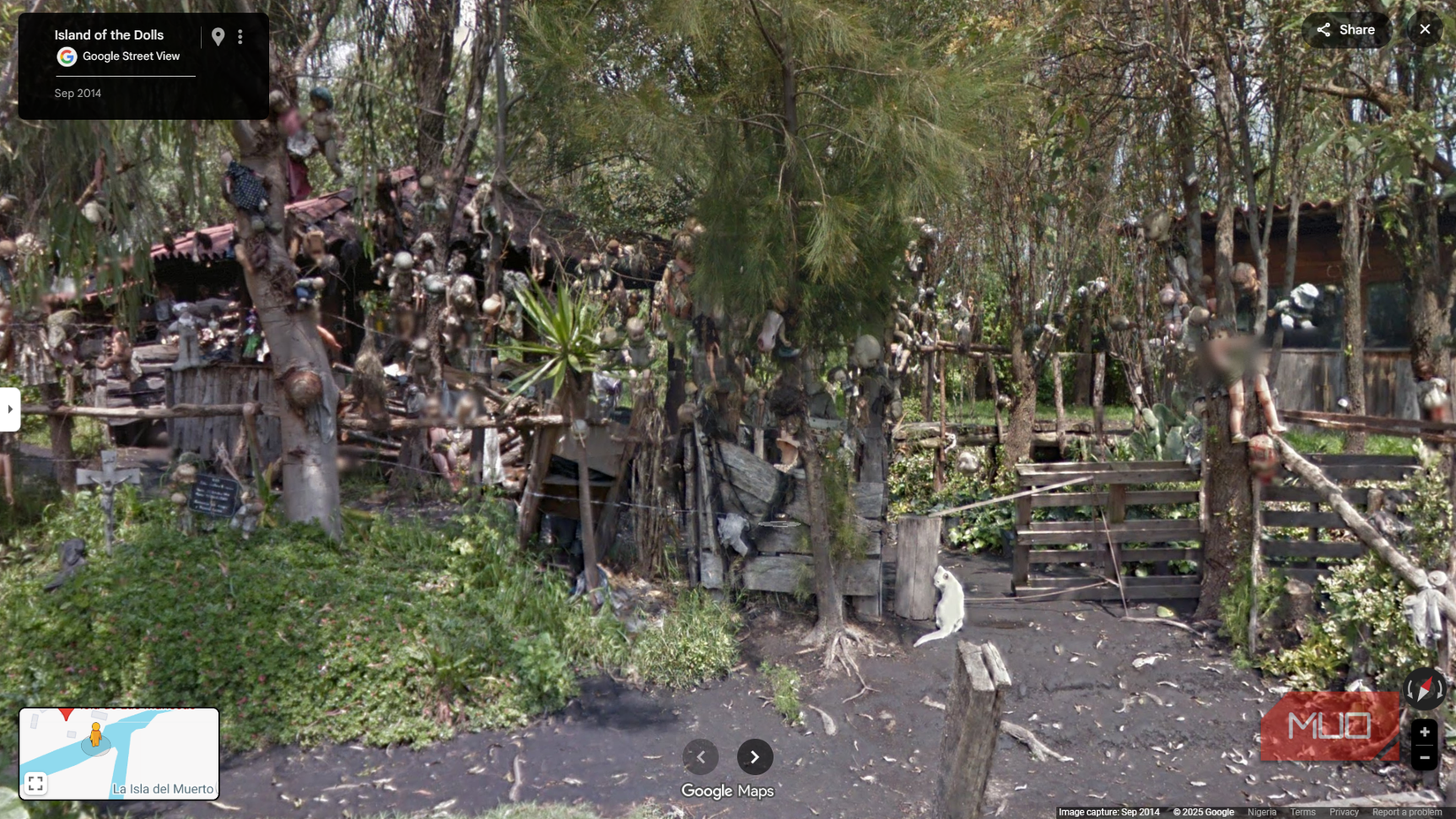 Several dolls hanging from trees as seen on Google Maps.