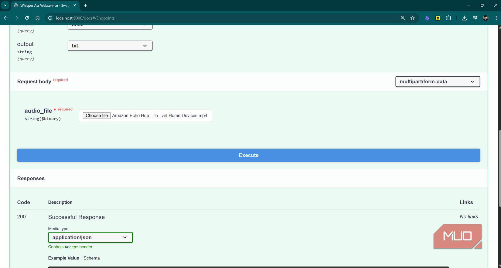 Short transcription test using video file