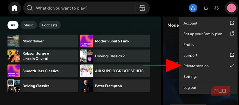 Accessing Spotify's Private Session feature.