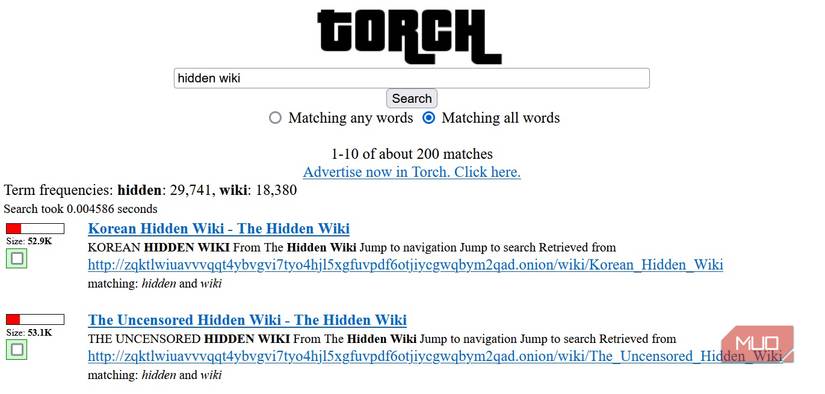 torch dark web search engine.
