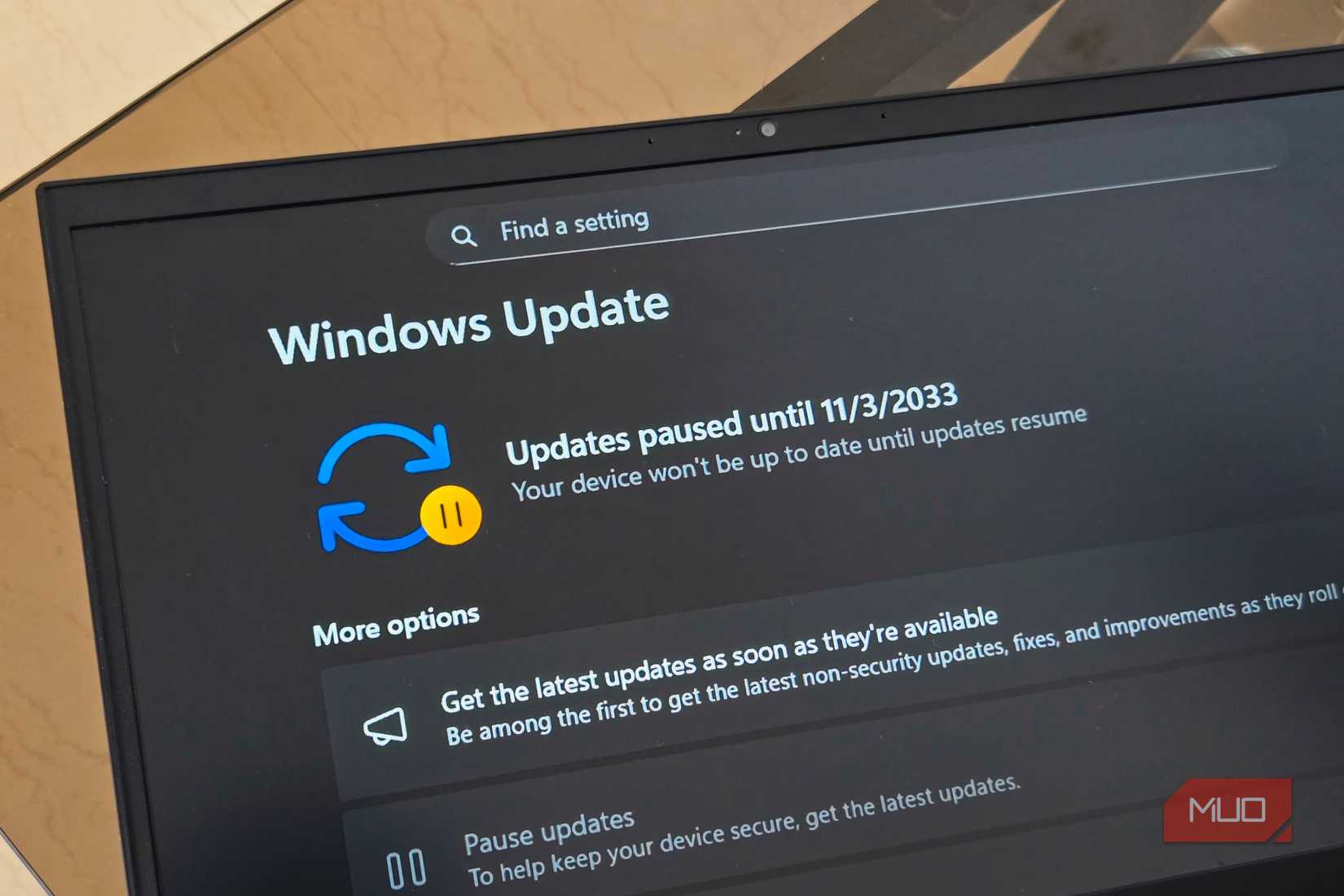 Windows 11 update settings open on a HP laptop