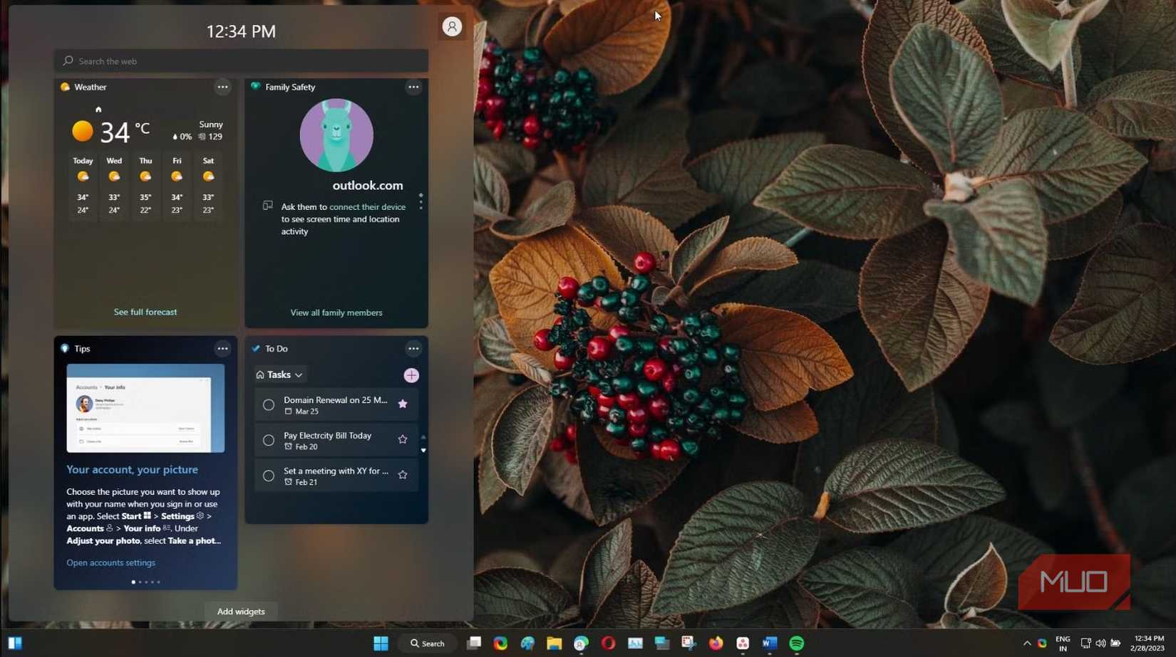 Windows 11 Weather Widget