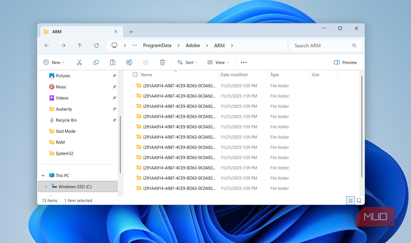 Adobe installer files on PC